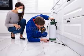 Best Fumigation Services  in Bling, AR